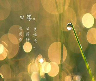 白露祝福語